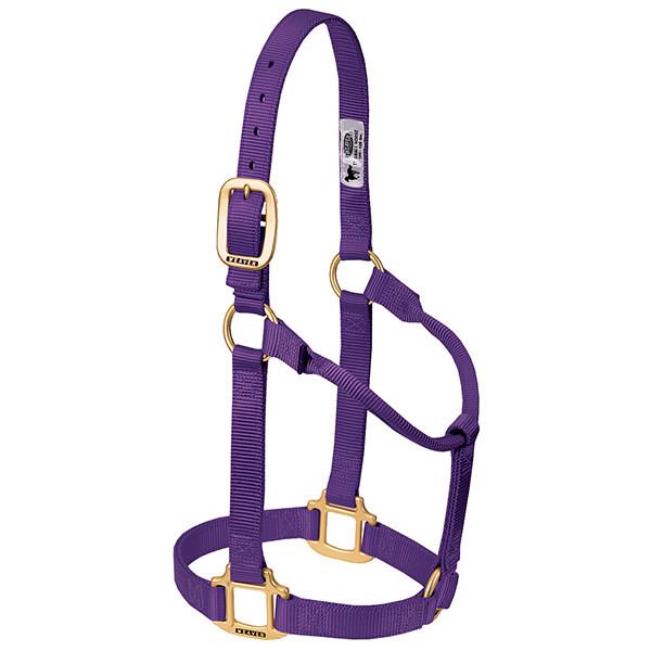 purple non-adjustable nylon horse halter with brass plated hardware.