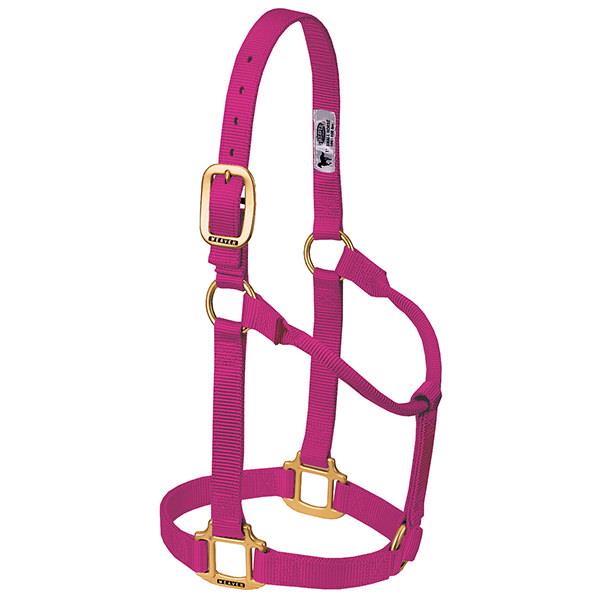 pink non-adjustable nylon horse halter with brass plated hardware.