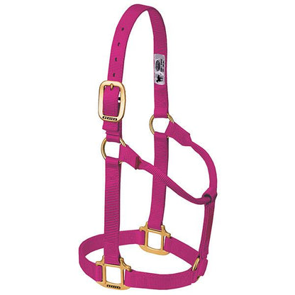 pink non-adjustable nylon horse halter with brass plated hardware.