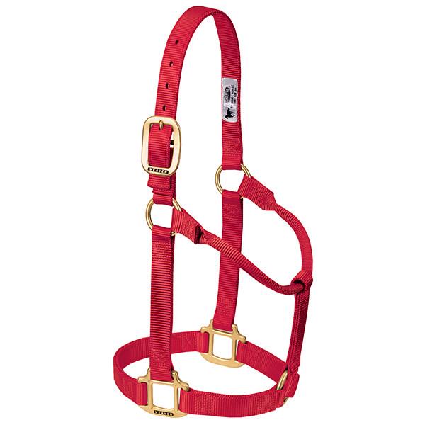 red non-adjustable nylon horse halter with brass plated hardware.