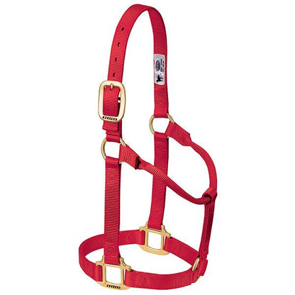 red non-adjustable nylon horse halter with brass plated hardware.