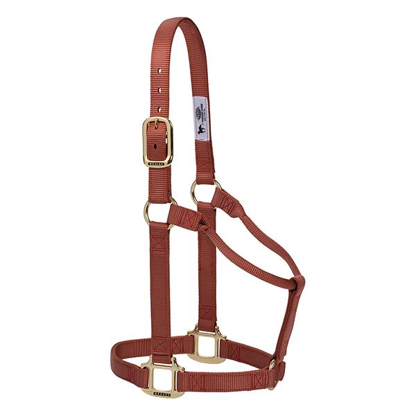 brown non-adjustable nylon horse halter with brass plated hardware.