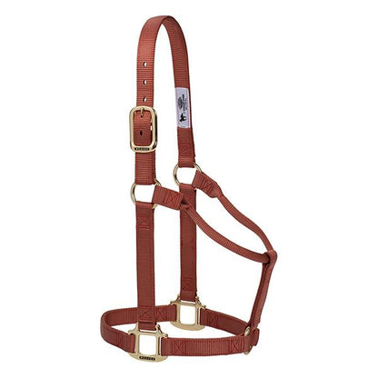 brown non-adjustable nylon horse halter with brass plated hardware.