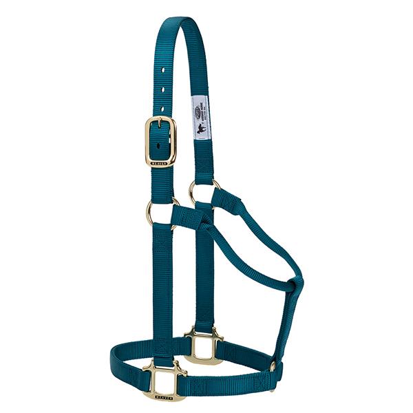 teal non-adjustable nylon horse halter with brass plated hardware.