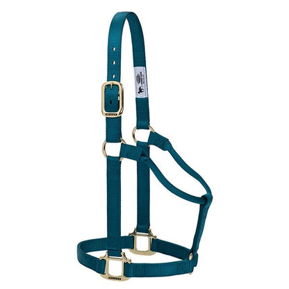 teal non-adjustable nylon horse halter with brass plated hardware.