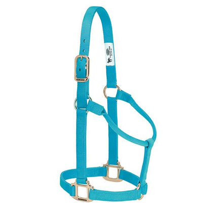 hurricane blue non-adjustable nylon horse halter with brass plated hardware.