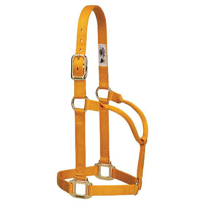 mustard non-adjustable nylon horse halter with brass plated hardware.