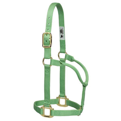 pistachio non-adjustable nylon horse halter with brass plated hardware.
