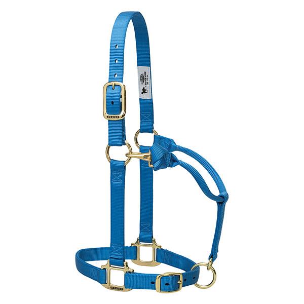 blue adjustable nylon yearling halter with brass plated hardware and rolled throat with clip.