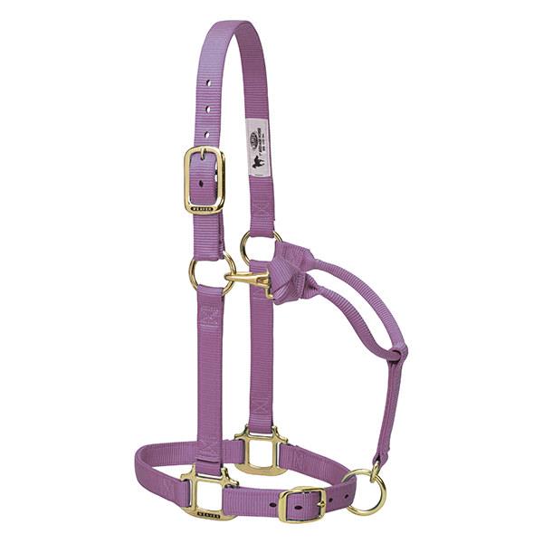 lilac nylon horse halter with brass plated hardware and adjustable chin and throat snap.