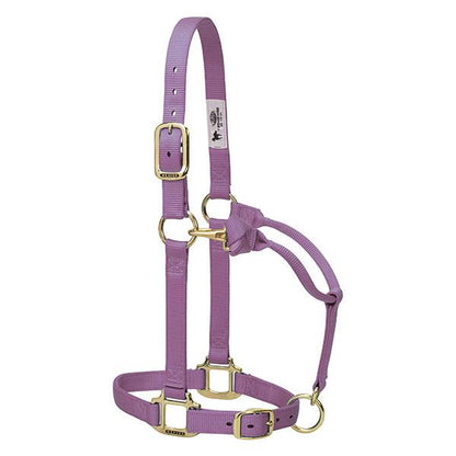 lilac nylon horse halter with brass plated hardware and adjustable chin and throat snap.