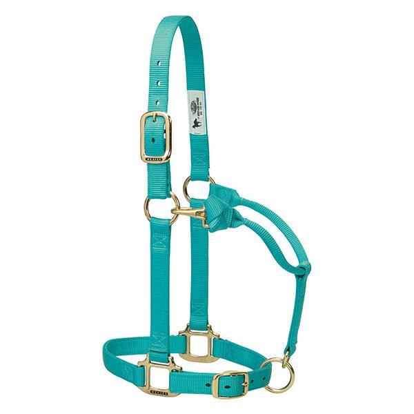mint green nylon horse halter with brass plated hardware and adjustable chin and throat snap.