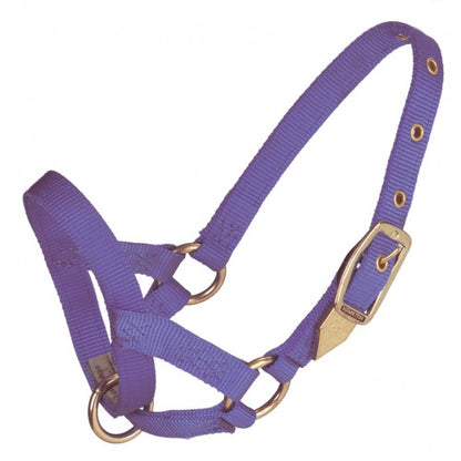 Hamilton® Llama Halter