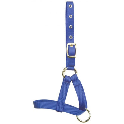 Hamilton® Alpaca Halter