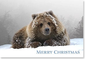 'Winter Wonder Bear' Christmas Card Pack by Leanin' Tree®