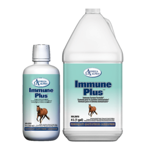 Equine Immune Plus™ by Omega Alpha®