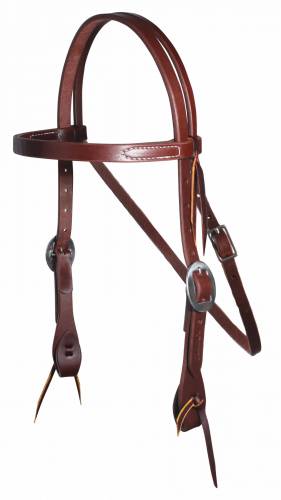 an oiled harness leather headstall for horses with stainless steel buckles on a white background