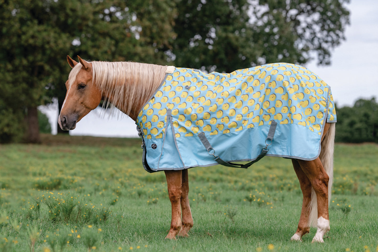 1200 Denier Rain Sheet by Professional's Choice®