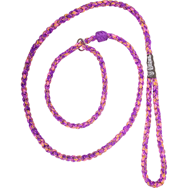 Braided Dog Leash by Cashel®