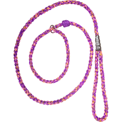 Braided Dog Leash by Cashel®