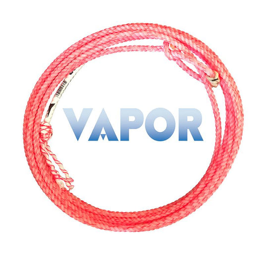 A coiled pink roping rope with the brand name 'Vapor' displayed in the center.