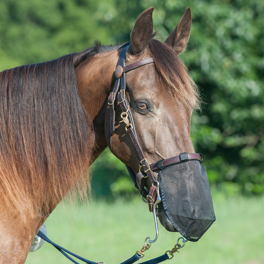 Quiet Ride Nose Net by Cashel®