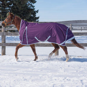 'Denali' Winter Turnout Horse Blanket by Canadian Horsewear Co.®