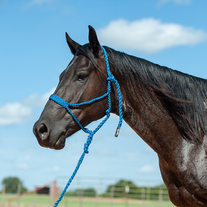 Mule Tape Halter & Lead by Cashel®