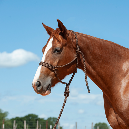 Mule Tape Halter & Lead by Cashel®