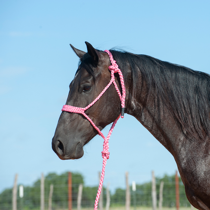 Mule Tape Halter & Lead by Cashel®