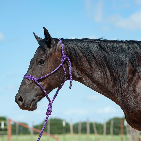 Mule Tape Halter & Lead by Cashel®