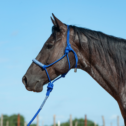 Braided Rope Nose Halter With Lead by Cashel®