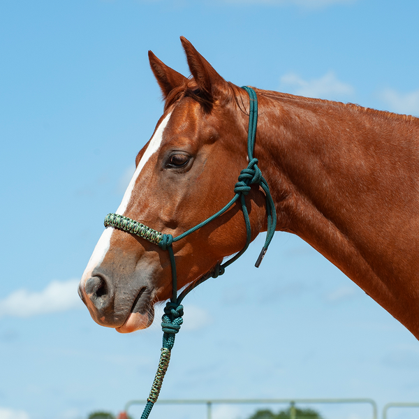 Braided Rope Nose Halter With Lead by Cashel®