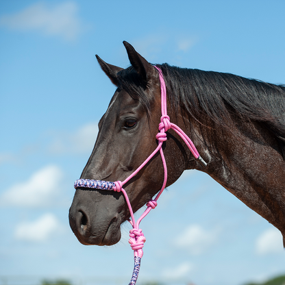 Braided Rope Nose Halter With Lead by Cashel®