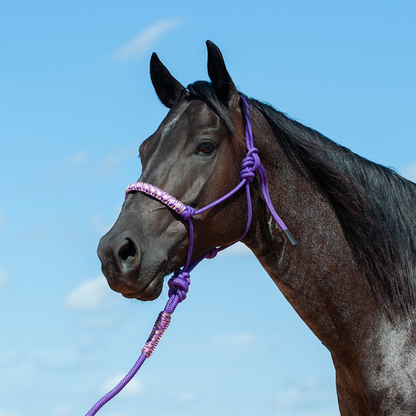Braided Rope Nose Halter With Lead by Cashel®