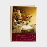 'Away in a Manger' 18 Card Box Set by DaySpring®