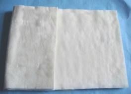 Poultice Pad